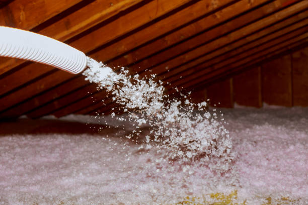 Best Spray Foam Insulation in Basile, LA