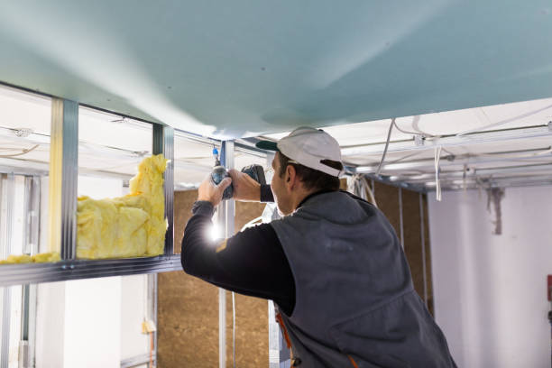 Best Commercial Insulation in Basile, LA
