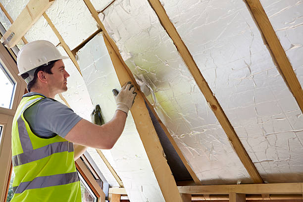 Best Geographic-Specific Insulation Services in Basile, LA