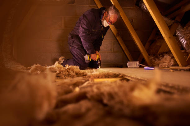 Professional Insulation Contractor in Basile, LA